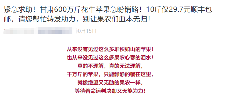 新澳门一码一肖一特一中水果爷爷,稳定性方案解析_L版30.767