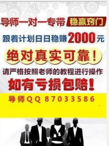 2024天天彩正版免费资料,诠释解析落实_体验版13.823