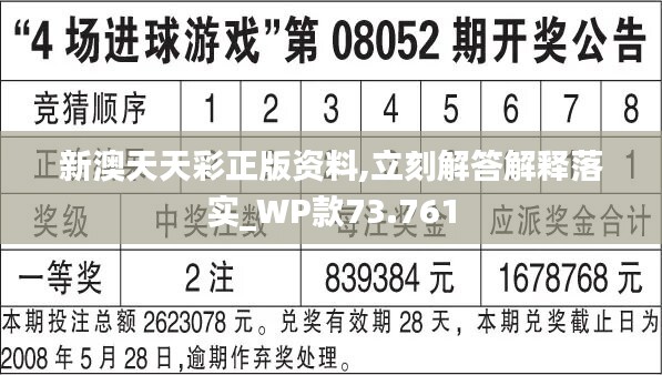 新澳天天彩正版资料,实地数据解释定义_精装版18.418